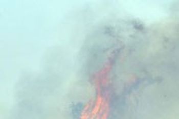 Ratusan Hektare Lahan Perbukitan di Tanjungpinang Terbakar