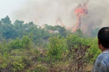 Kebakaran Lahan di Tanjungpinang