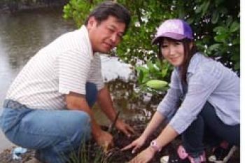 Pengusaha Jepang Tanam Bakau di Bintan           