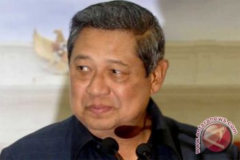 Illegal wood buyers abroad must be arrested: President