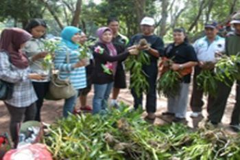 PAI KALSEL TANAM ANGGREK 