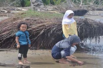 ABRASI PANTAI PAGATAN MELUAS