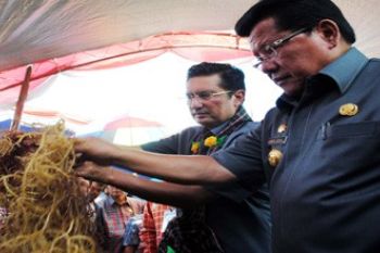 BUDIDAYA RUMPUT LAUT