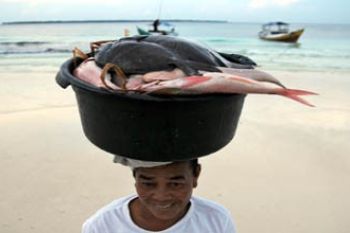 NELAYAN PULAU
