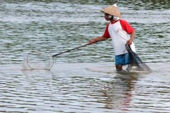 MENJARING IKAN