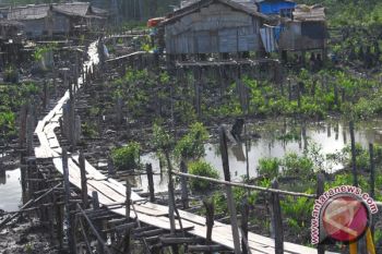 Papua`s forests facing serious threat: Greenpeace