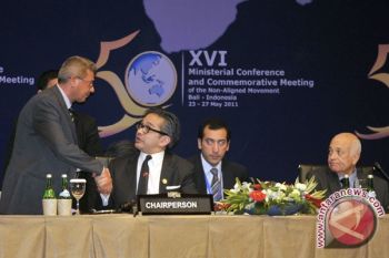 NAM discusses Palestinian political detainees in Israel 