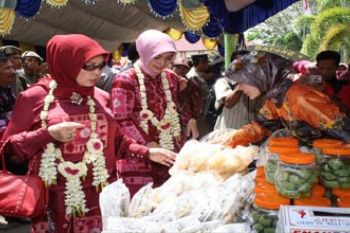 TINJAU STAND PKK