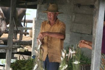 PEROLEHAN IKAN RAWA