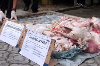 Karantina Karimun Musnahkan Daging Ilegal