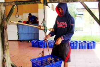 Banjir Ikan Bontang
