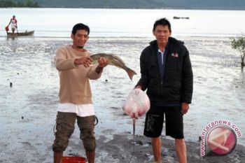 Regulasi Dan Informasi Tantangan Ekonomi Kelautan