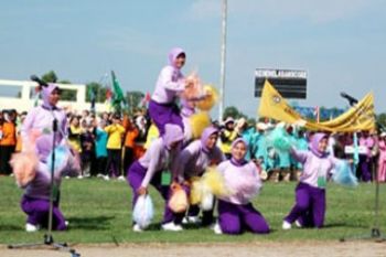 Jambore Kader Posyandu Karimun