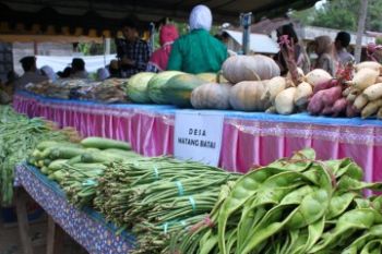 HASIL PERTANIAN DAN PERKEBUNAN