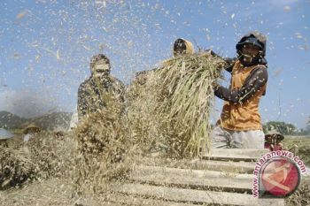 RI govt calls on businessmen to support food resilience program