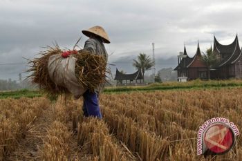 RI govt to speed up paddy planting amid drought