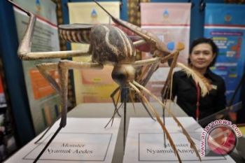 Rasa Percaya Pada Obat Demam Cukup Membantu