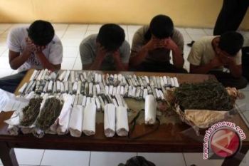 Kurir 1,3 ton ganja terima Rp100 juta