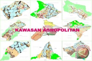 Pesawaran Akan Miliki Kawasan Agropolitan