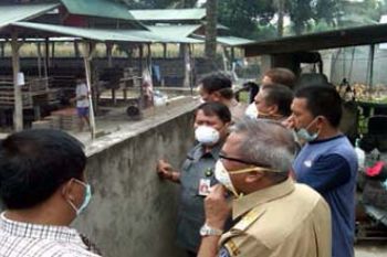FLU BURUNG