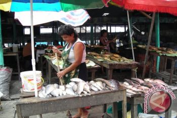 Nelayan Mudik, Harga Ikan Melejit