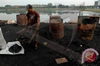 Produski Kelapa Lampung Timur Turun