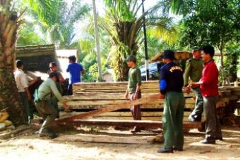 Kayu Illegal Logging