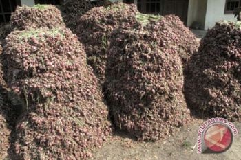 Stok Cabai dan Bawang Merah Menipis