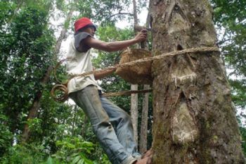 Debat Kandidat Calon Bupati Lampung Barat