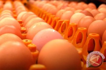 RI govt  to double people`s chicken, egg consumption