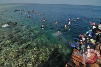 Pengibaran Bendera Bawah Laut Diikuti 100 Penyelam