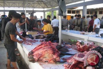 Pemkot Kendari Perketat Awasi Peredaran Daging Berbahaya