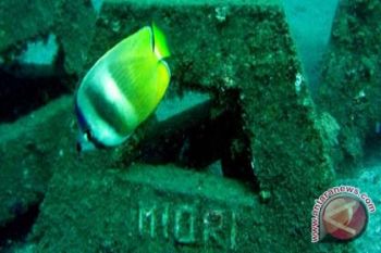 Presenter Usulkan Manado Lokasi Permanen Festival Laut