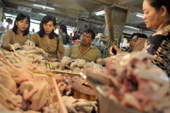 DAGING AYAM SELUNDUPAN