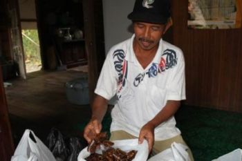 TING-TING JAHE BERKHASIAT