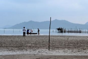 Warga Berebut Ikan Segar Saat Lebaran 