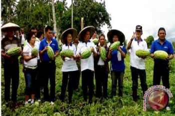 Kedepan Minahasa Utara Jadi Sentra Buah