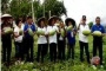 Dua kecamatan di Minahasa Utara rawan pangan