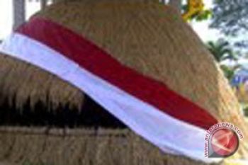 Harga Gabah Di Lampung Timur Bertahan Tinggi