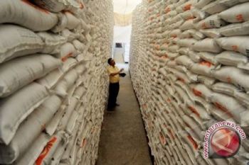 Bolmong Targetkan Produksi Beras 99 Ribu Ton