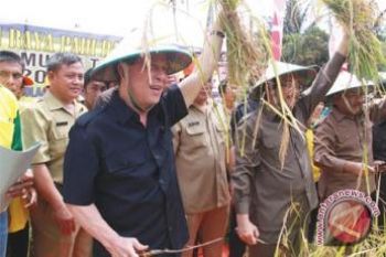 Gubernur : Sulut Berhasil Pertahankan Produksi Beras