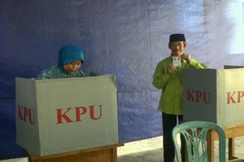 Pilkada Pringsewu