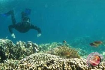Asean Tetapkan Bunaken Sebagai Destinasi Wisata