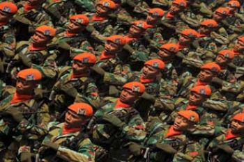 HUT TNI