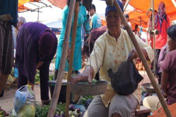 Harga Sayur Fluktuatif