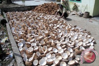 Bagus ! Harga Komoditas Naik