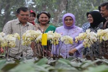 TAMAN ANGGREK