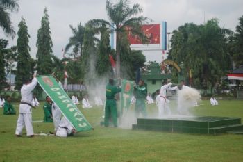 Atraksi HUT TNI