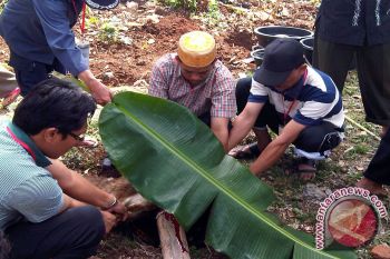 Khatib: Keutuhan Keluarga Lahirkan Bangsa Berketahanan Nasional 