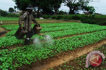  Ekonomi Lampung Tumbuh 5,83 Persen 